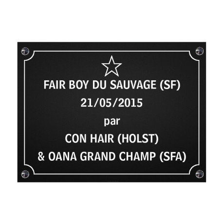 PLAQUE DE BOX a chevaux - noir - vis et cabochons - Mon Tampon PLAQUE DE BOX a chevaux - noir - vis et cabochons - Mon Tampon