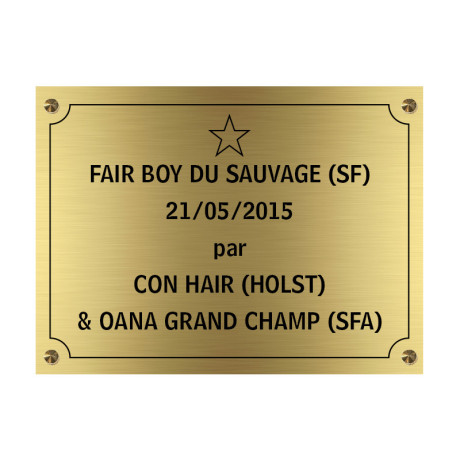 PLAQUE DE BOX a chevaux - doré - vis et cabochons - Mon Tampon PLAQUE DE BOX a chevaux - doré - vis et cabochons - Mon Tampon